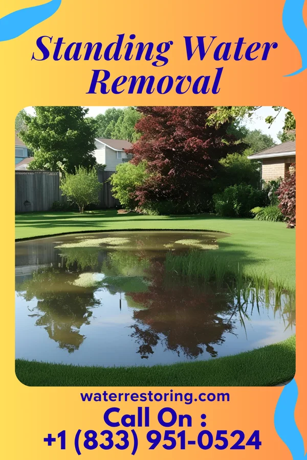 Standing Water Removal in Plainfield, IL
